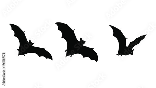 Striking silhouettes of three bats in various stages of flight against a white background, perfect for Halloween or nature themes.
