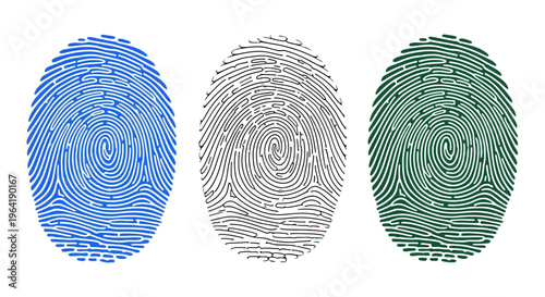 Three Stylized Fingerprint Icons in Blue, Gray, and Green on a White Background, Representing Identity and Security