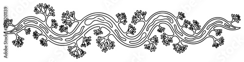 Wavy organic path with coral like botanical branches in clean outline style