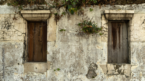 Photos Two windows against the backdrop of an old wall overgrown with plants