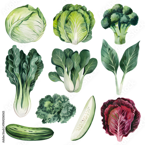 llustration set of vegetables, watercolor style, isolated background