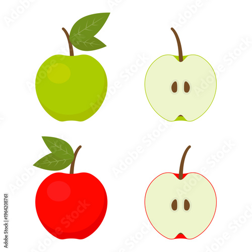 Red and green whole and half apples vector set for nutritional infographics, botanical diagrams, farm-to-table marketing, food blogs, and educational posters