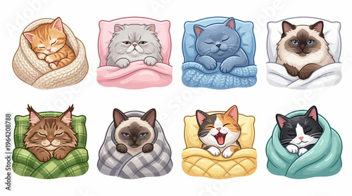 Set of eight cute cartoon cat breeds sleeping in cozy blankets and colorful pillows on white background featuring ginger tabby siamese tuxedo and persian cats.