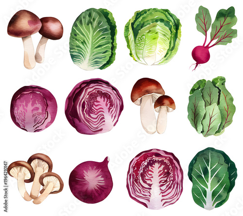 llustration set of vegetables, watercolor style, isolated background