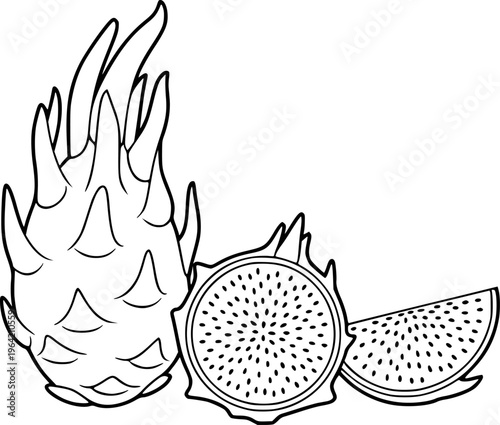 Black and white line of a whole dragon fruit a half cut dragon fruit and a slice