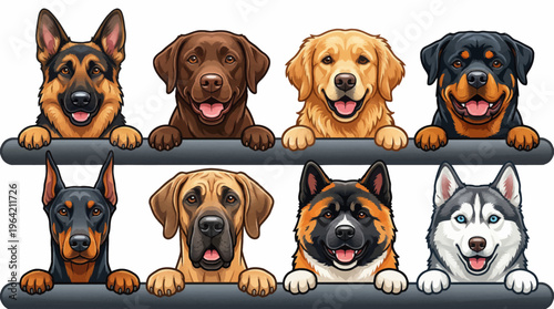 Cartoon Illustration of Eight Diverse Dog Breeds Including German Shepherd Labrador Golden Retriever Rottweiler Doberman Great Dane Akita and Husky Peeking