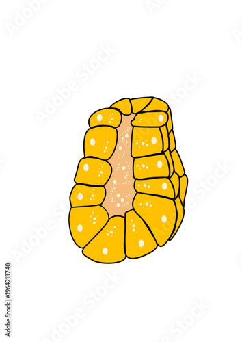 golden sim card isolated