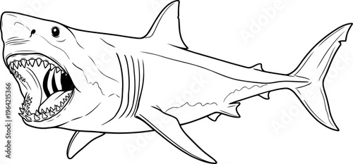Great white shark with open jaws line drawing