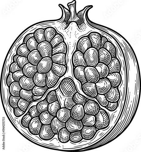 Open pomegranate fruit revealing clusters of juicy arils and seeds