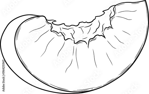 Single peach segment outline showing curved fruit flesh