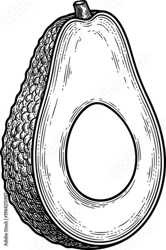 Sliced avocado fruit showing central pit in vintage etch style