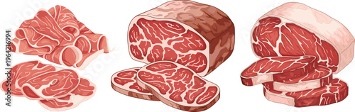 Raw beef meat cuts and slices vector illustration, fresh marbled steak and butcher pieces collection isolated on background, protein rich food concept