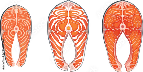Salmon fish steak cuts vector illustration, fresh seafood slices with detailed texture and marbling, raw salmon fillet variations isolated on background