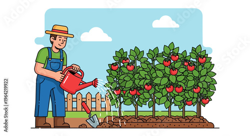 Farmer watering tomato plants in a garden.