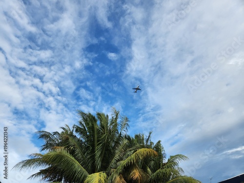 Airplane flying high in the blue cloudy sky above tropical palm trees