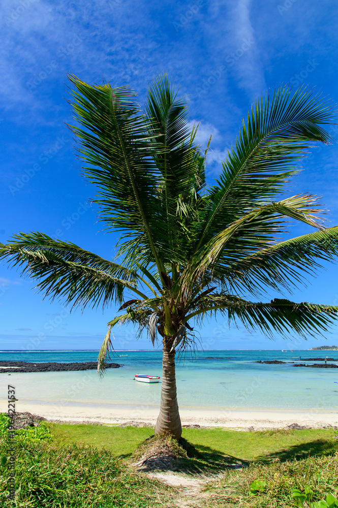 Fototapeta premium モーリシャスのとても美しいビーチ風景A view of a very beautiful white sand beach in Mauritia