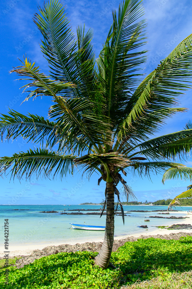 Fototapeta premium モーリシャスのとても美しいビーチ風景A view of a very beautiful white sand beach in Mauritia