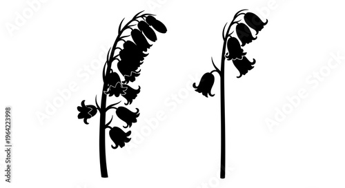 Black silhouette bluebell flowers, botanical spring floral vector set, minimalist bellflower garden plant icons on white background