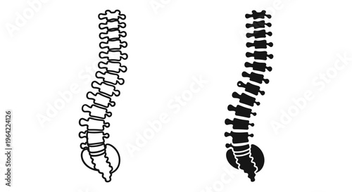 Human spine icons in outline and silhouette styles, medical vertebral column vector set, anatomical backbone illustrations for chiropractic and orthopedic health