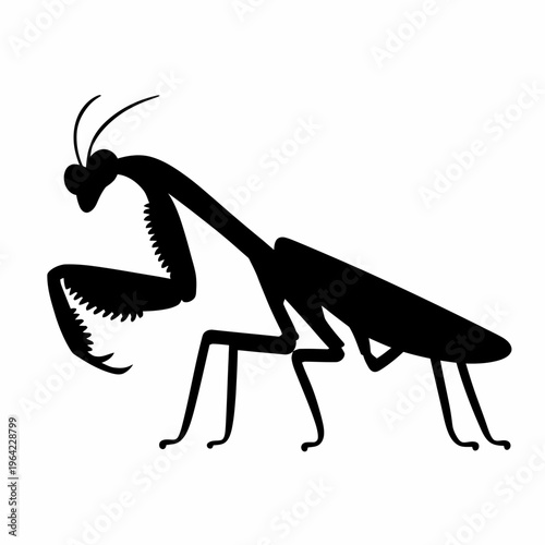Mantis insect in a poised hunting stance with detailed antennae and legs isolated on white background, Vector, illustration