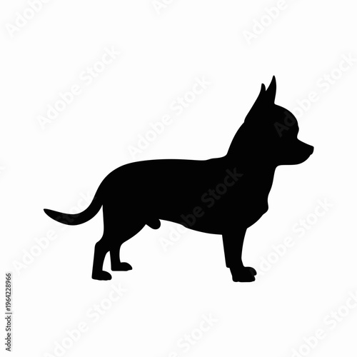 Silhouette of a chihuahua standing upright with attentive posture isolated on white background, Vector, illustration