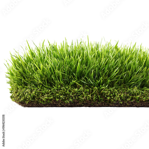A vibrant section of fresh green grass with soil visible, isolated on a black background