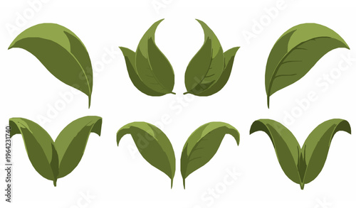 3D Green Leaves Vector Realistic Illustration Ecology Natural Bio Products Isolated Stock