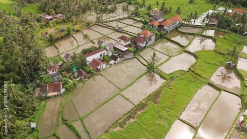 4K drone footage of Ubud, Bali: lush green rice terraces, tropical jungle and traditional landscapes under bright daylight. Perfect for travel, nature, culture and tropical destination projects.