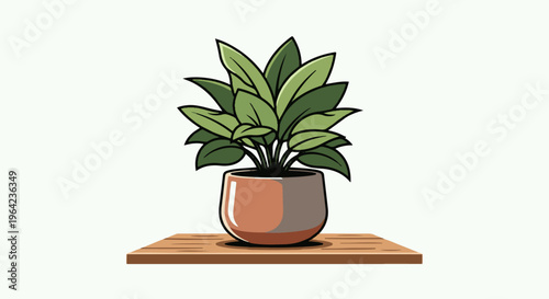 Potted green plant with broad leaves on a wooden shelf