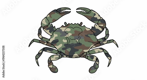 Crab with camouflage pattern on white background