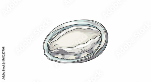Illustration of a single raw oyster on a white background