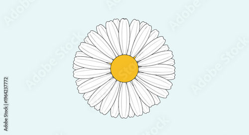 Daisy flower head illustration with white petals and a yellow center viewed from above on a pale blue background in a clean line art style.
