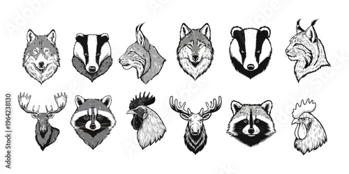 Adobe Illustrator Artwork