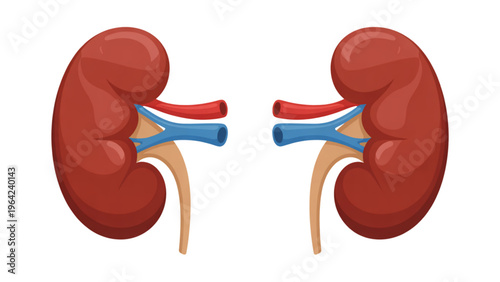 Lineup of school buses in yellow color driving on the road Vector