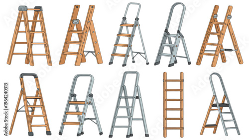 Colorful lizards and a frog displayed in a naturalistic arrangement Vector