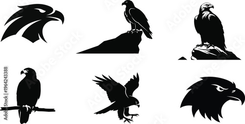 Silhouette illustrations of people engaging in various activities and hobbies with colorful designs