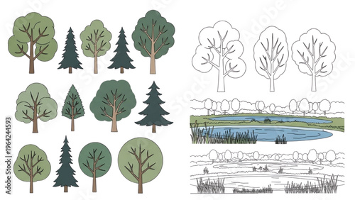 Vector CAD design style trees and a serene lake landscape with various foliage