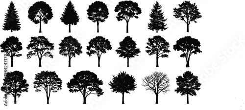 Black tree silhouettes, diverse shapes, coniferous and deciduous, botanical illustration, forest design, landscape elements, nature artwork, minimal style, vector collection