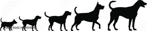 Silhouettes of five dogs of varying sizes breeds small