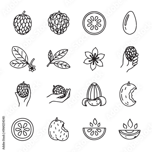 Custard Fruit Icons: Handheld Sliced Seeded and Whole for Healthy Eating Designs
