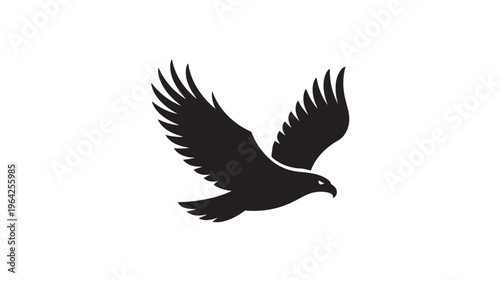 Black silhouette bird of prey soaring with wings spread