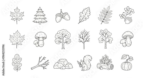 Black and white outline vector set of hand drawn autumn forest elements, fall foliage, oak leaves, acorns, pine cones, mushrooms, botanical doodles, seasonal nature icons