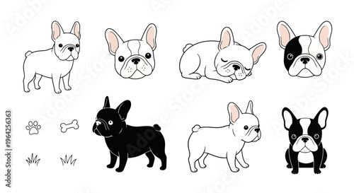 Cute French Bulldog Puppy Vector Cartoon Illustration Set Happy Dog Characters and Design Elements Collection