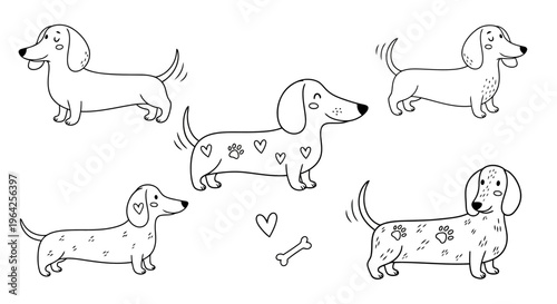 Cute Doodle Dachshund Dogs Collection Black and White Line Art Illustration Set