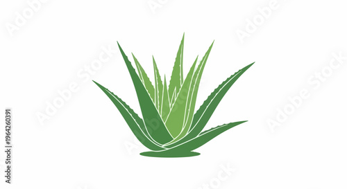 A stylized green aloe vera plant with pointed leaves and white outlines on white