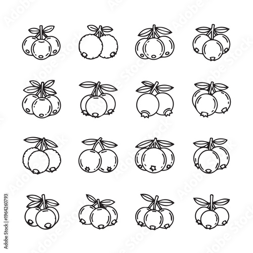 Assorted Berries Collection: Line Art Icons Hand-Drawn Style Isolated White Background Fresh Produce Elements