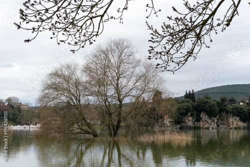 Trees in flooded lake. High quality photo