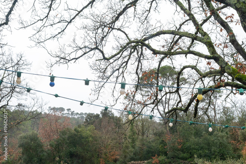 Fairy lights in overcast weather in forest. High quality photo