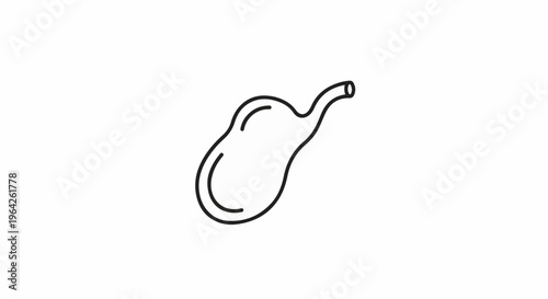 Simple line drawing of a stylized digestive organ
