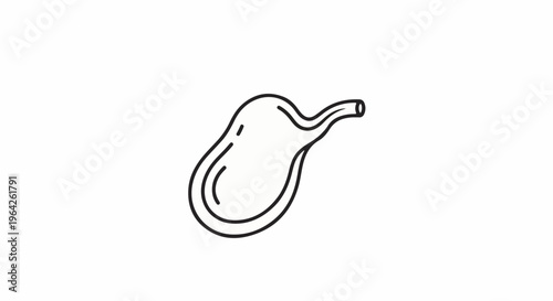 Simple line drawing of a stomach organ with a tube